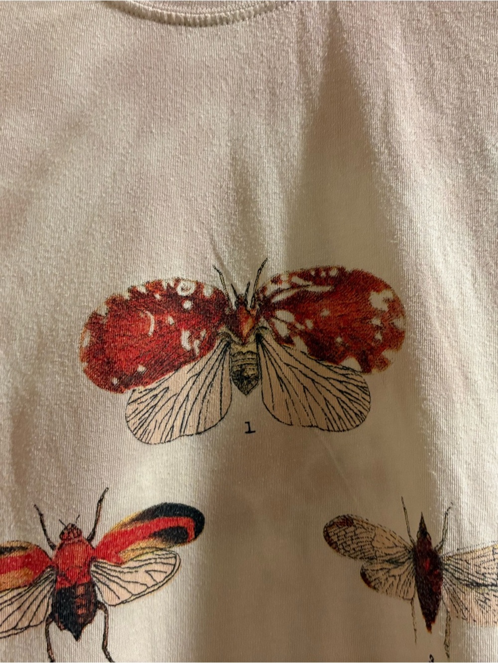 Neon Riot Insect Graphic Tee - Picture 3 of 5